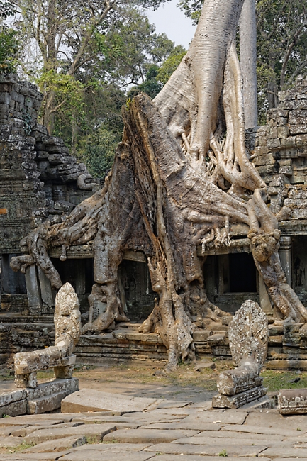 Preah Khan-045